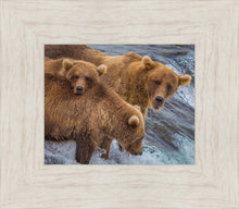 Load image into Gallery viewer, Sunday Dinner