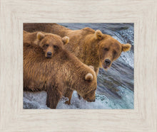 Load image into Gallery viewer, Sunday Dinner