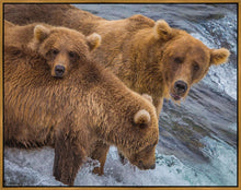 Load image into Gallery viewer, Sunday Dinner