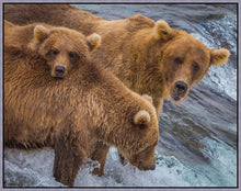 Load image into Gallery viewer, Sunday Dinner
