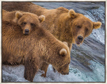 Load image into Gallery viewer, Sunday Dinner
