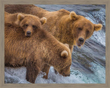 Load image into Gallery viewer, Sunday Dinner