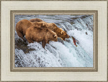 Load image into Gallery viewer, Grizzly Bears Fishing for Salmon at Katmai National Park Brooks Falls, Alaska