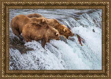 Load image into Gallery viewer, Grizzly Bears Fishing for Salmon at Katmai National Park Brooks Falls, Alaska