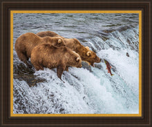 Load image into Gallery viewer, Grizzly Bears Fishing for Salmon at Katmai National Park Brooks Falls, Alaska