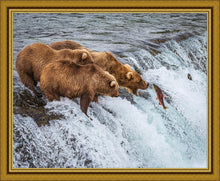 Load image into Gallery viewer, Grizzly Bears Fishing for Salmon at Katmai National Park Brooks Falls, Alaska
