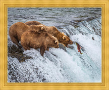 Load image into Gallery viewer, Grizzly Bears Fishing for Salmon at Katmai National Park Brooks Falls, Alaska