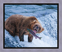Load image into Gallery viewer, Catch of the Day