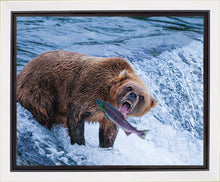 Load image into Gallery viewer, Catch of the Day