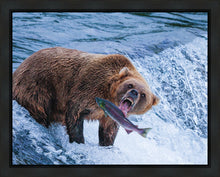 Load image into Gallery viewer, Catch of the Day