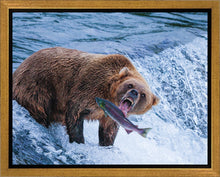 Load image into Gallery viewer, Catch of the Day