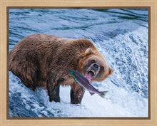 Load image into Gallery viewer, Catch of the Day