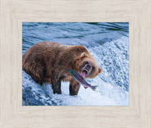 Load image into Gallery viewer, Catch of the Day