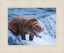 Load image into Gallery viewer, Catch of the Day