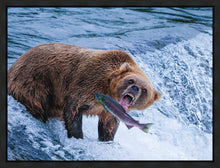 Load image into Gallery viewer, Catch of the Day
