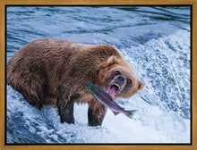 Load image into Gallery viewer, Catch of the Day