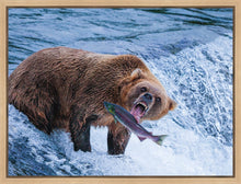 Load image into Gallery viewer, Catch of the Day