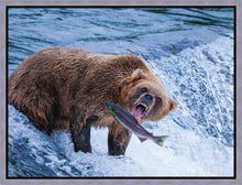 Load image into Gallery viewer, Catch of the Day
