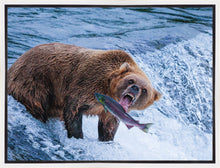 Load image into Gallery viewer, Catch of the Day