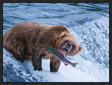 Load image into Gallery viewer, Catch of the Day