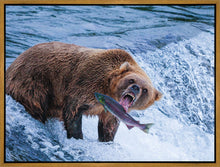 Load image into Gallery viewer, Catch of the Day