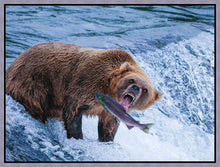 Load image into Gallery viewer, Catch of the Day