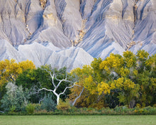 Load image into Gallery viewer, Ghost Tree