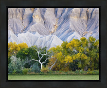 Load image into Gallery viewer, Ghost Tree