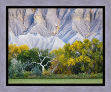 Load image into Gallery viewer, Ghost Tree