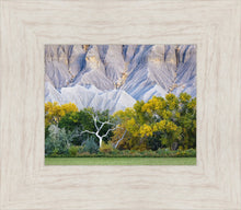 Load image into Gallery viewer, Ghost Tree