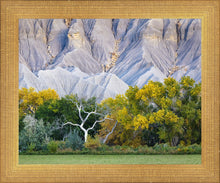 Load image into Gallery viewer, Ghost Tree