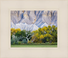 Load image into Gallery viewer, Ghost Tree