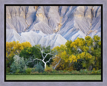 Load image into Gallery viewer, Ghost Tree