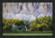 Load image into Gallery viewer, Ghost Tree