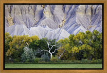 Load image into Gallery viewer, Ghost Tree