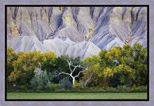 Load image into Gallery viewer, Ghost Tree