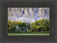 Load image into Gallery viewer, Ghost Tree