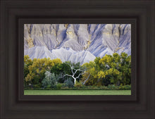 Load image into Gallery viewer, Ghost Tree