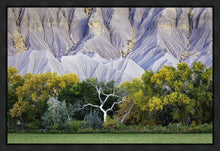 Load image into Gallery viewer, Ghost Tree