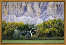 Load image into Gallery viewer, Ghost Tree