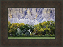 Load image into Gallery viewer, Ghost Tree