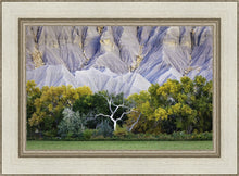Load image into Gallery viewer, Ghost Tree