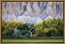 Load image into Gallery viewer, Ghost Tree