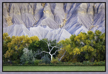 Load image into Gallery viewer, Ghost Tree
