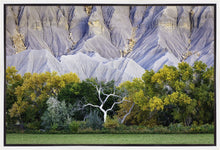 Load image into Gallery viewer, Ghost Tree