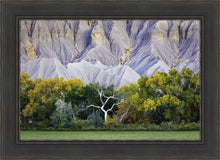 Load image into Gallery viewer, Ghost Tree