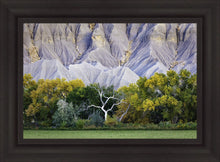 Load image into Gallery viewer, Ghost Tree