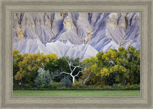 Load image into Gallery viewer, Ghost Tree