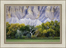 Load image into Gallery viewer, Ghost Tree