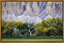 Load image into Gallery viewer, Ghost Tree